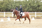 SBM_001133