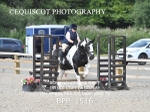 BPP_1516