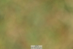 260730-120627-00603