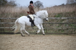 SBM_006085