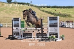 BPP_7353