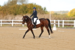 SBM_009246