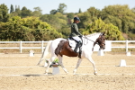 SBM_017459