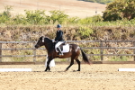 SBM_000741