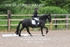 BPP_9418