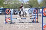 BPP_1343