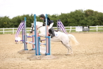 SBM_001178