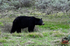 3HPhotography5-20-25_GTNP_370_