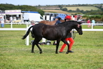 DSC_8914