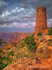 The Tower