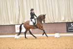 SBM_010323