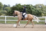 SBM_015397
