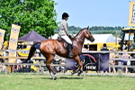 SBM_18137