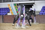 SBM_000495