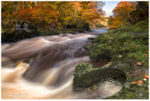 River Roe, Limavady (IMG0694)