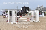 BPP_7309