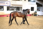 SBM_23423