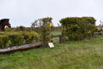 WJ5_5986