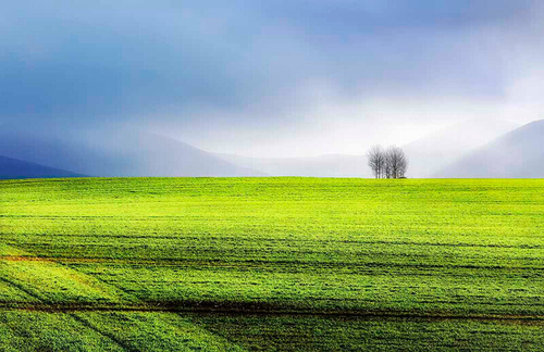 Hail shower in sunlight