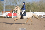 Cls 2 Pony British Noivice & 80cm Open portfolio