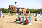 SBM_003674