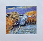 Heilan Coos