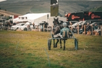 DSCF7409