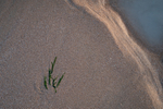 Emerge