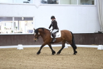 SBM_004221