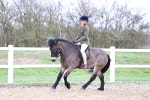 SBM_007431