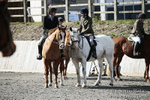 BVRC SJ 170319 160