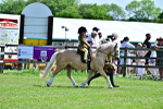 SBM_05785
