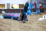 SBM_006274