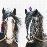 Pair of Shires