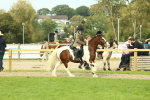 SBM_68233