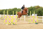 SBM_016256