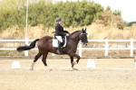 SBM_010909