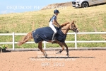 BPP_1913