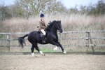 SBM_006080