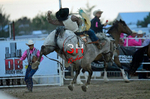 3HRodeo8-4-24_CFD_3HR-YUMA- 0761_