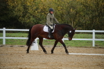 SBM_000391