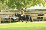 SBM_66617
