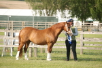 SBM_10564
