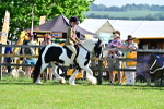 SBM_11737