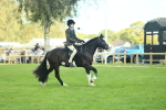 SBM_42008