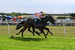 260826-Race 3-Battenburg Belle-2651