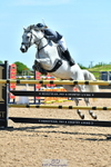 Cls 17 National 1.30m Open portfolio