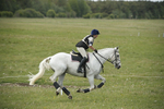 BVHT 140517  NXC -166