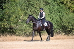 WJ6_6728