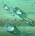 jeweled leaf
